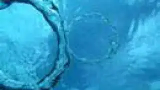 Bubble Rings by Shaka Doug