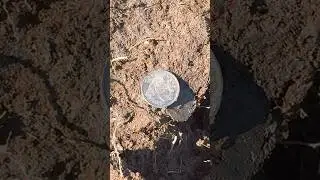 1922 Possible Rare Overdate #neilcolston #metaldetecting #love #silver #minelab