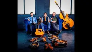 Andrew Collins Trio