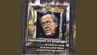 Krestoffer Moen Og Hesten