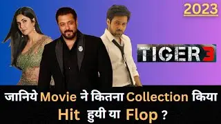 Salman Khan TIGER 3 2023 Bollywood Movie Lifetime Worldwide Box Office Collection Budget Hit or Flop