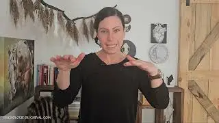 Formation d'introduction &agrave; la psychologie du cheval