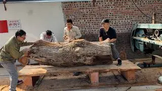 Giant Mango Wood! Amazing Idea!