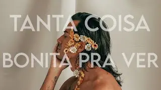 Pe Lu - Tanta coisa bonita pra ver (visualizer) / Ative as legendas