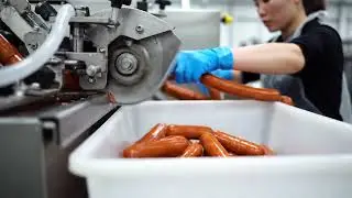 Pig Farming and Meat Processing Technology Behind Modern Sausage Production Explained