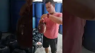 Tuba Bahalina Fermintation