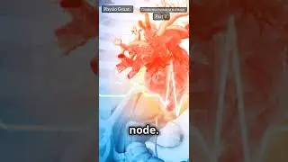 Conduction system of the heart Made EASY | SA Node AV Node Bundle of His Purkinje Fibers | Animation