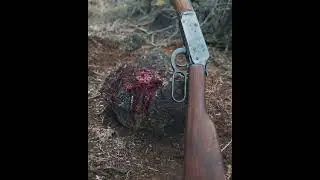 Colorado Hunt 2022 Intro