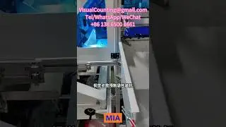 Plastic Button Visual Counting Machine Packaging Machine Manufacturer Supplier Price in Vietnam Iran