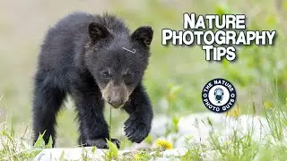 Nature Photography Tips with The Nature Photo Guys!