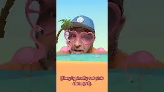 Pink Flamingos on Grand Pa&rsquo;s Storytime!