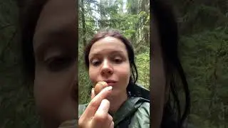 Как я хожу в лес 😂  #природа #лес #рыбалка #fun #грибы #грибывлесу
