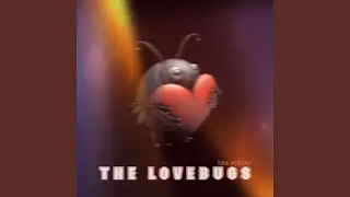 The Lovebugs