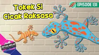 Tokek Itu Cicak Raksasa ? - Mengenal Hewan Tokek - Ensiklopedia anak - PJL