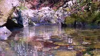 RILASSANTE SUONO DELL'ACQUA CHE SCORRE IN UN RUSCELLO