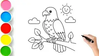 How to Draw a Bald Eagle 🦅