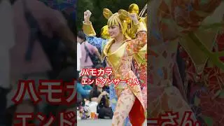 【ディズニーランド】エンドダンサーさん　ハモカラ　2025年9月　#ハーモニーインカラー
