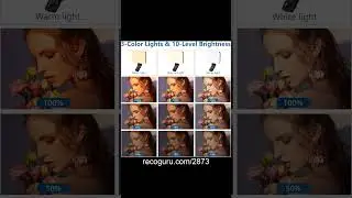 Pocket Studio! ALTSON LED Selfie Light Review