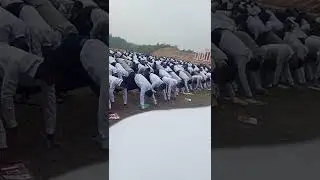 BD army