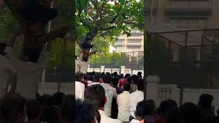 Shahrukh fans on tree outside Mannat 🙄🤪🙄 #shahrukh #srk #pathan #mannat #viral #shorts #trending
