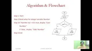 Decision Making Structure in C