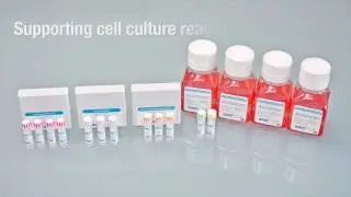 Introduction to Axol Bioscience