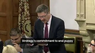 Westminster Hall Debate   Animal Welfare Strategy