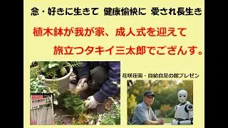 植木鉢が我が家、成人式を迎えて旅立つタキイ三太郎でござんす。 0113 1