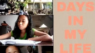 Thea's Archive Ep. 2(Thrift shopping, online class)