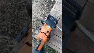 Straight pipe the world! #echo #saw #straightpipes #chainsawman #wood #tree