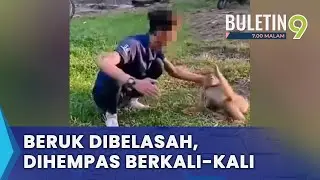 Tular Lelaki Belasah Beruk Di Kelantan (B9)