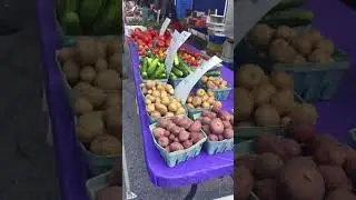 Farmers market in Chicago