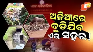 Special Story:Garbage Piles, Dengue Fears: Sanitation Collapse in Odisha&rsquo;s Joda Municipality