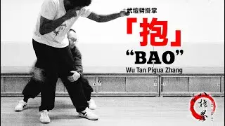 武壇劈掛掌「抱」WuTan Pigua Zhang “Bao”