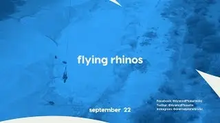 How are rhinos moved to a safe place? | Flying Rhinos | 22nd September at 8 PM
