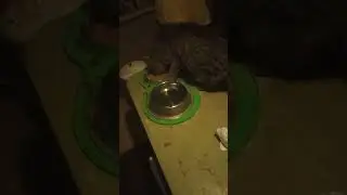 Завершение на сегодня, часть 2.