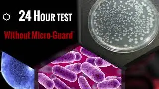 Micro Guard Mini-Video