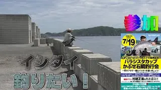 一閃カブセ発売記念！バラシスタカップに参加して磯の王者イシダイを狙いに行ってきた