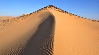 Sahara