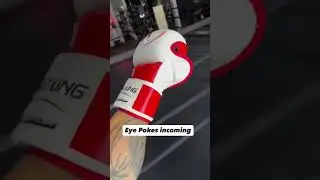 We just manufactured one as a sample of MMA gloves&mdash;should we drop more!!??