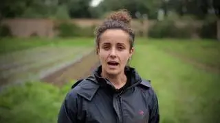 Organic September: why should you choose organic?