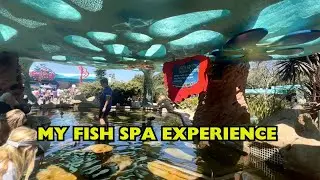 My Fish Spa Experience at SeaWorld San Diego #fishspa  #fishspaexperience #fish #spa #experience