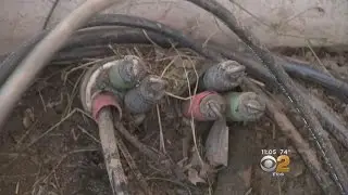 Vandalism Cuts Spectrum Cable TV Service To Customers In Queens