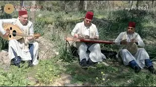 WWD 2021 Music of Wood - myForest - Sultans of Tarab - Outdoor performance