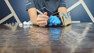 Coral Reef Feeding Experiment - Learn How Coral Reefs Get Their Food