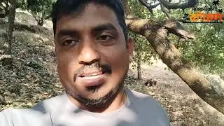 आपल्या गोतावळ्यात इलो नवीन नंबर. ऐन थंडीत अचानक आगमन. Kokani jivan. Devagad. Kokan