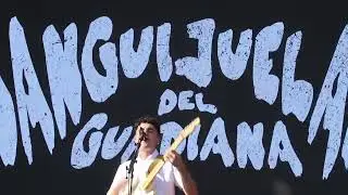 SANGUIJUELAS DEL GUADIANA interpreta 