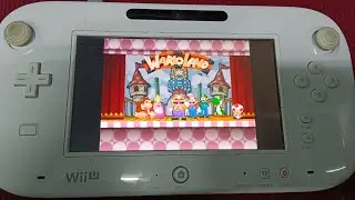 รับแปลง nintendo wii u