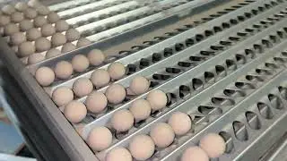 Cimbria Delta Ball Racks Tips