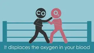 What Is Carbon Monoxide? - Poudre Valley Air